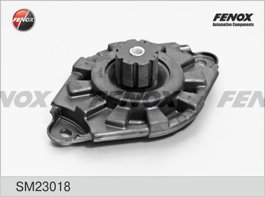 FENOX montavimas, amortizatoriai SM23018