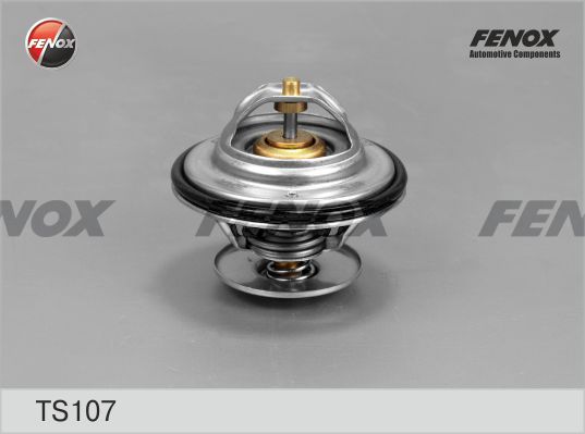 FENOX termostatas, aušinimo skystis TS107
