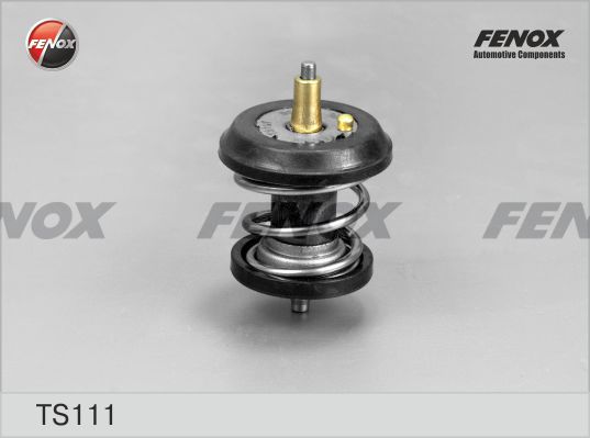 FENOX termostatas, aušinimo skystis TS111