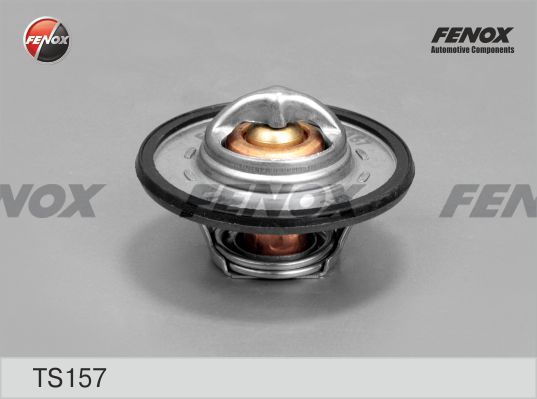 FENOX termostatas, aušinimo skystis TS157