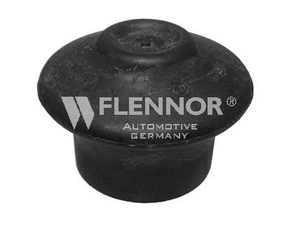 FLENNOR variklio montavimas FL3908-J
