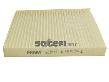FRAM filtras, salono oras CF11444