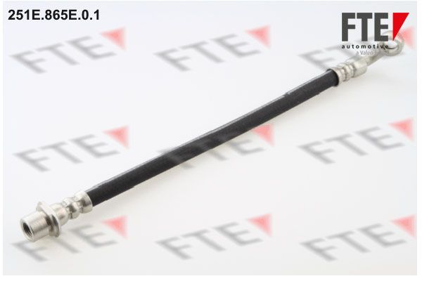 FTE Тормозной шланг 251E.865E.0.1