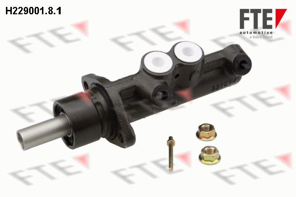 FTE pagrindinis cilindras, stabdžiai H229001.8.1