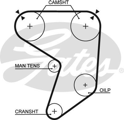 GATES Зубчатый ремень 5196
