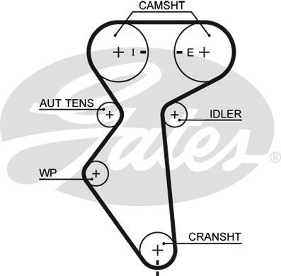 GATES Зубчатый ремень 5419XS
