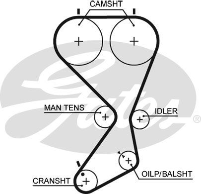 GATES Комплект ремня ГРМ K025556XS