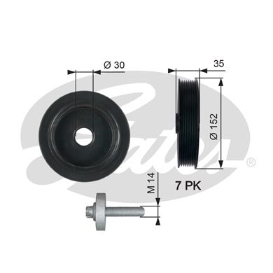 GATES skriemulys, alkūninis velenas TVD1127A