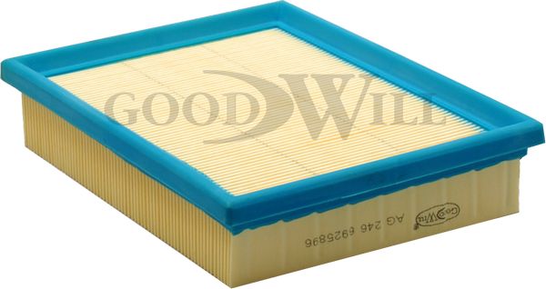 GOODWILL oro filtras AG 246