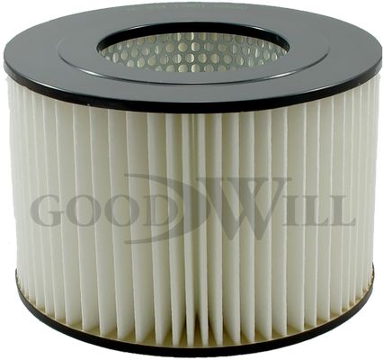 GOODWILL oro filtras AG 534