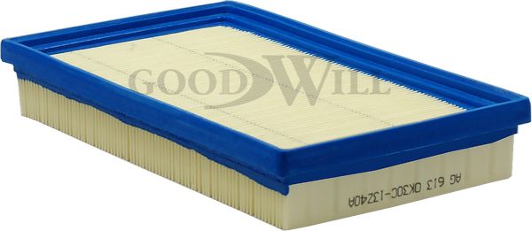 GOODWILL oro filtras AG 613