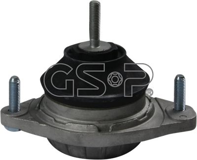 GSP variklio montavimas 510184