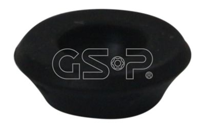 GSP pakabos statramsčio atraminis guolis 510341