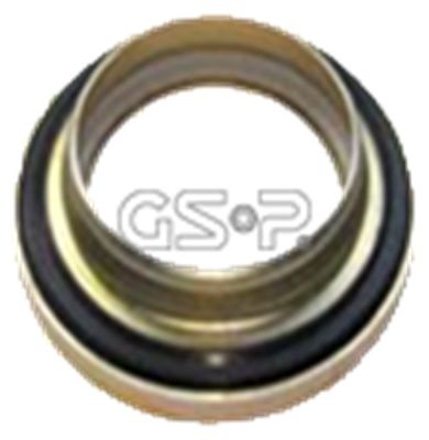 GSP frikcinis guolis, pakabos statramsčio atramos mont 510769