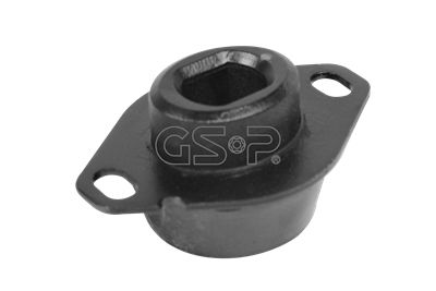 GSP variklio montavimas 511923