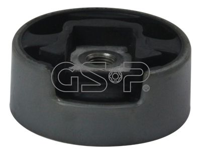 GSP variklio montavimas 512232