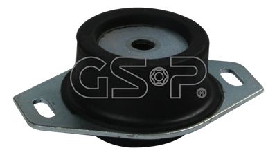 GSP variklio montavimas 513398