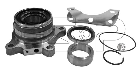 GSP rato guolio komplektas 9244003K