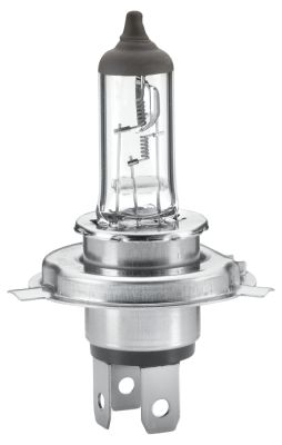 HELLA Лампа накаливания 8GJ 002 525-251