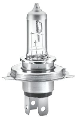 HELLA Лампа накаливания 8GJ 002 525-481