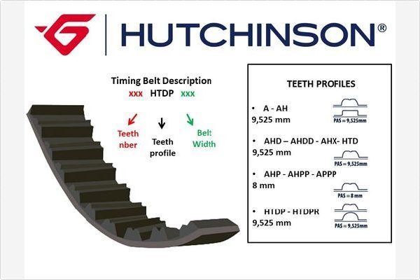 HUTCHINSON paskirstymo diržas 124 AHPP 22