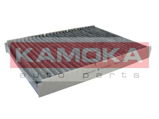 KAMOKA filtras, salono oras F500401