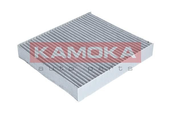 KAMOKA filtras, salono oras F503801