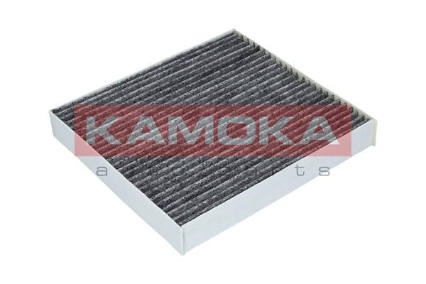 KAMOKA filtras, salono oras F509901