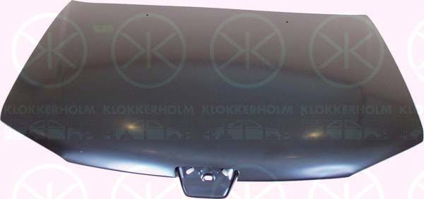KLOKKERHOLM Капот двигателя 5513282A1