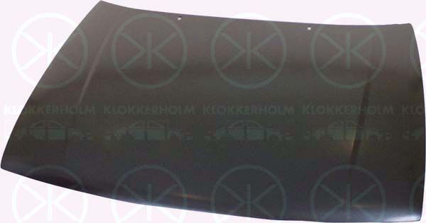 KLOKKERHOLM gaubtas 6607280