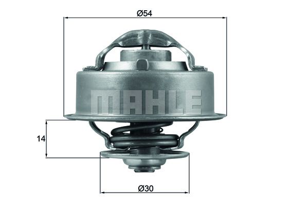 MAHLE termostatas, aušinimo skystis TX 124 87D