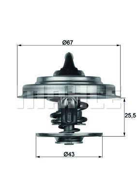 MAHLE termostatas, aušinimo skystis TX 18 83D