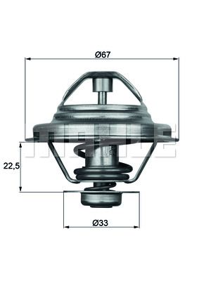 MAHLE termostatas, aušinimo skystis TX 24 87D