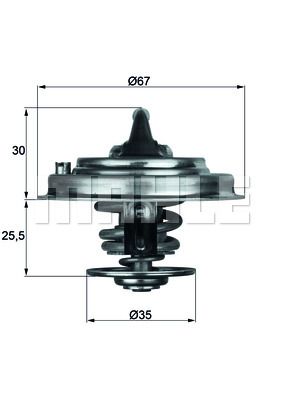 MAHLE termostatas, aušinimo skystis TX 34 82D