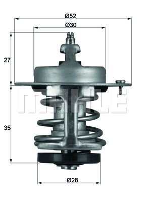 MAHLE termostatas, aušinimo skystis TX 69 79