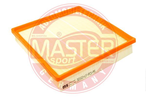 MASTER-SPORT oro filtras 30163-LF-PCS-MS