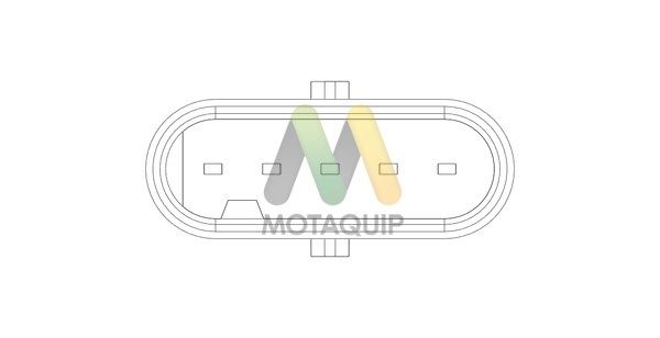 MOTAQUIP Расходомер воздуха LVMA163