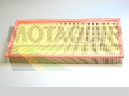 MOTAQUIP Воздушный фильтр VFA1135