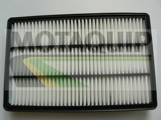 MOTAQUIP oro filtras VFA1215