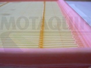 MOTAQUIP oro filtras VFA1233