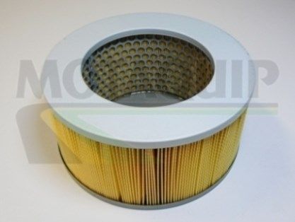 MOTAQUIP oro filtras VFA692