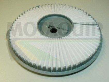 MOTAQUIP oro filtras VFA780