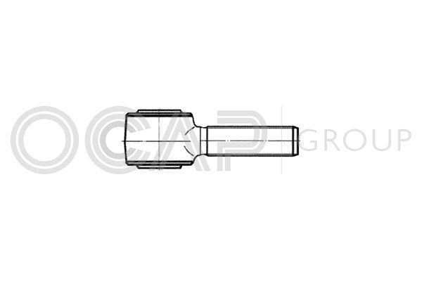 OCAP skersinės vairo trauklės galas, ašies statramstis 0187772