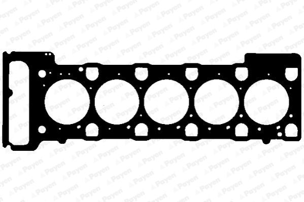 PAYEN Прокладка, головка цилиндра AB5910