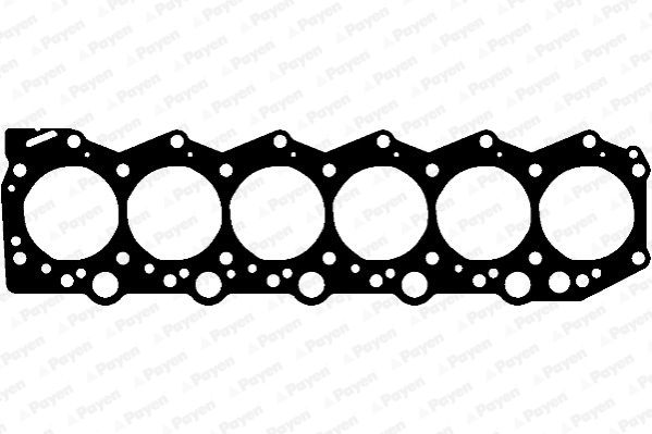 PAYEN Прокладка, головка цилиндра AF5800