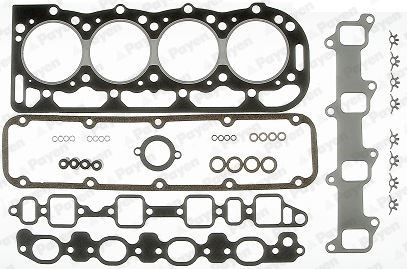 PAYEN Комплект прокладок, головка цилиндра DS990