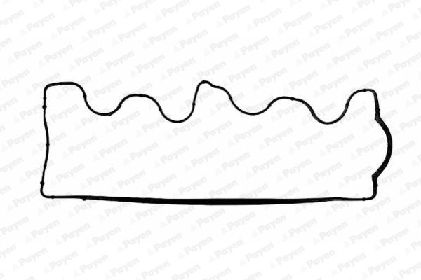 PAYEN Прокладка, крышка головки цилиндра JM5028