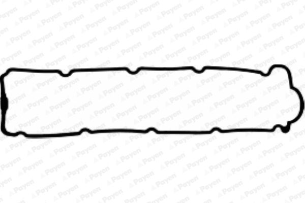 PAYEN Прокладка, крышка головки цилиндра JM5063