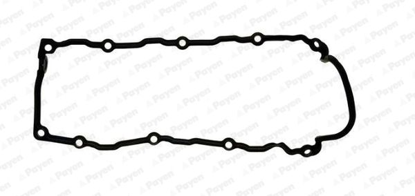 PAYEN Прокладка, крышка головки цилиндра JM5099