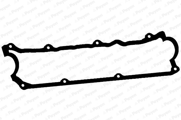 PAYEN Прокладка, крышка головки цилиндра JM5138